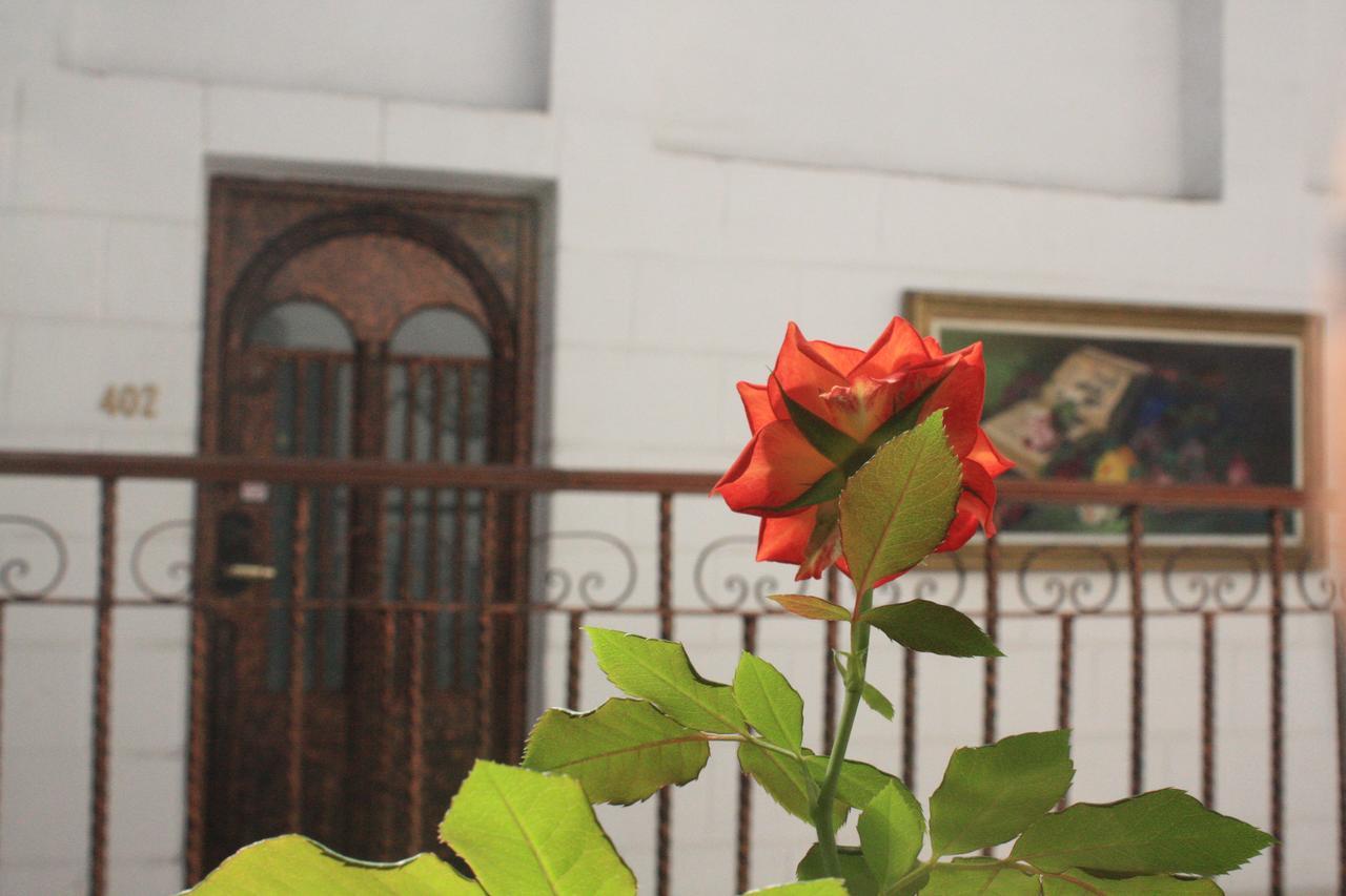 Casa De La Luna เม็กซิโกซิตี้ ภายนอก รูปภาพ