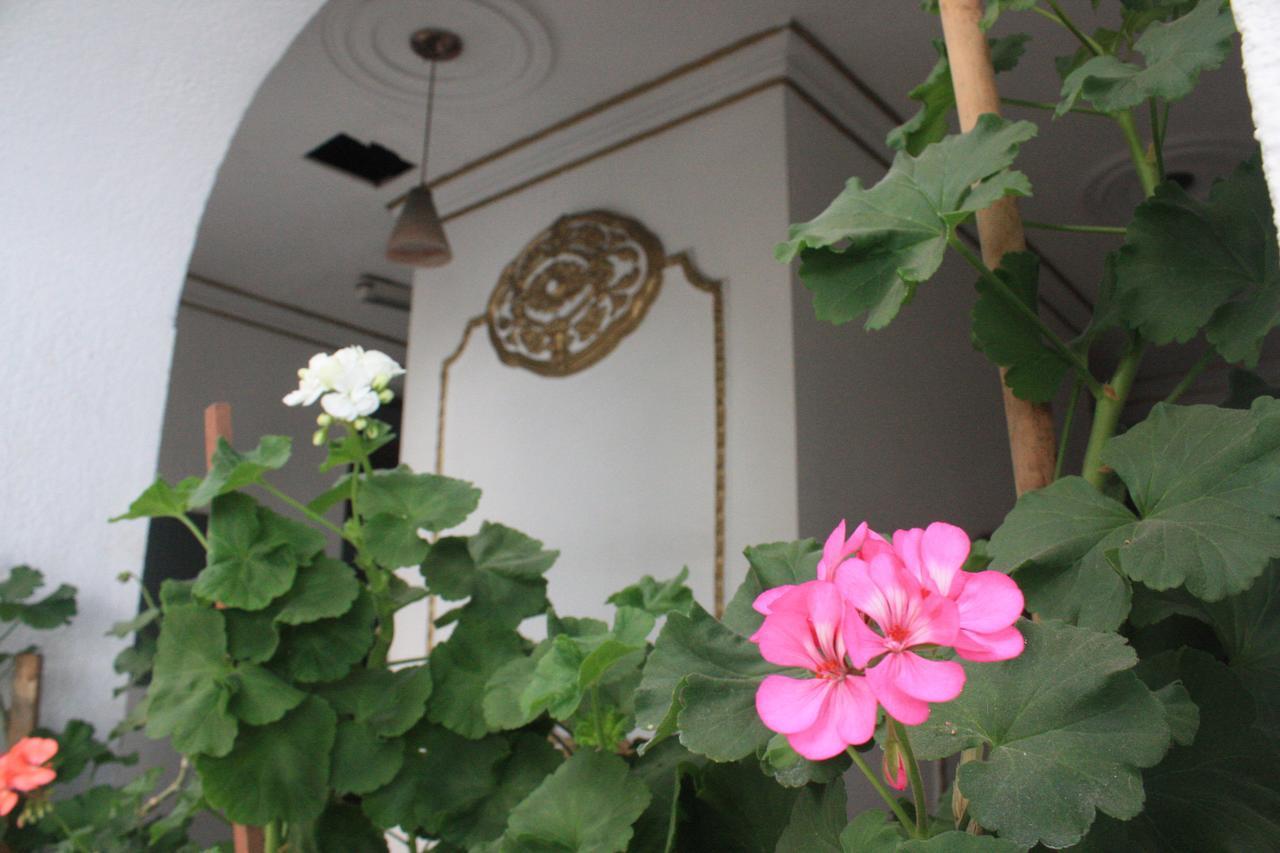 Casa De La Luna เม็กซิโกซิตี้ ภายนอก รูปภาพ